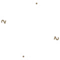 Circle 1 Circle 1