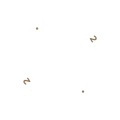 Circle 2 Circle 2
